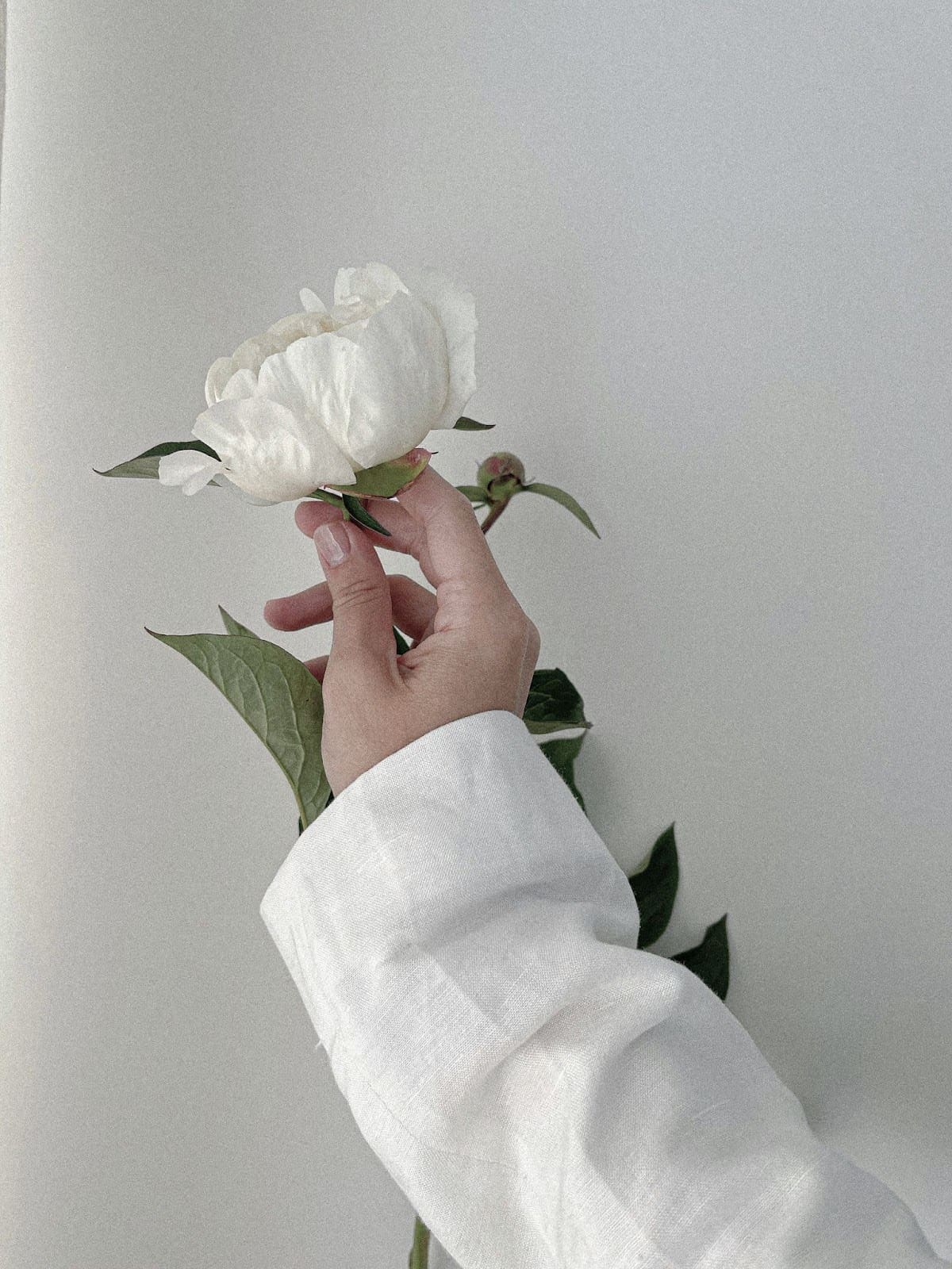 A woman’s hand holds a single white peony bloom. Healing from trauma is a delicate process that requires patience, care, and the right support. A relational trauma therapist in Palm Beach, FL, can guide you toward wholeness and renewed hope.